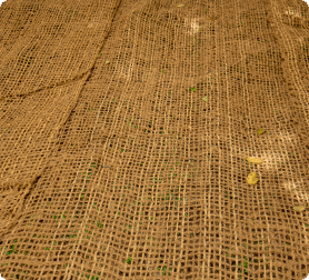 Close-up of high-quality coir geotextile mesh offered by HEIGER Australia